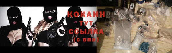 сатива Белокуриха