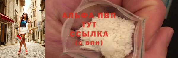 сатива Белокуриха