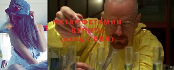 сатива Белокуриха
