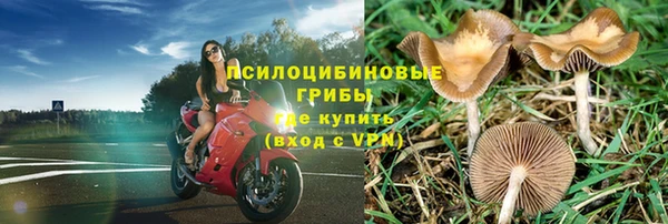 марки lsd Белоозёрский
