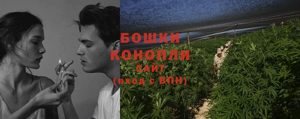 сатива Белокуриха