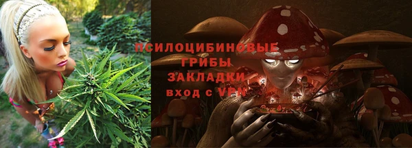сатива Белокуриха