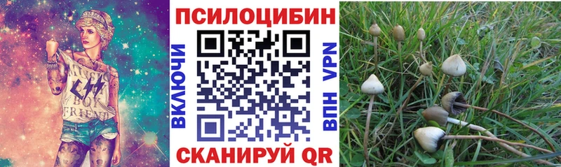 ссылка на мегу сайт Плёс Псилоцибиновые грибы Psilocybe