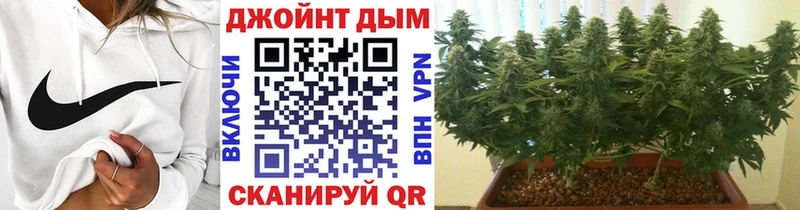 что такое Плёс мега как войти Конопля Ganja